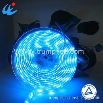 12V Waterproof Christmas LED lights